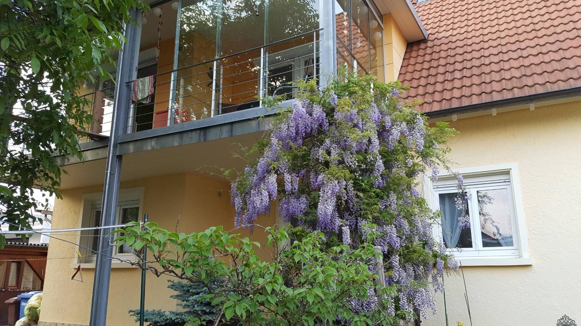 Ferienwohnung Miezerle Steisslingen Екстер'єр фото